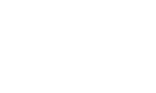 South Carolina Captive Insurance Association